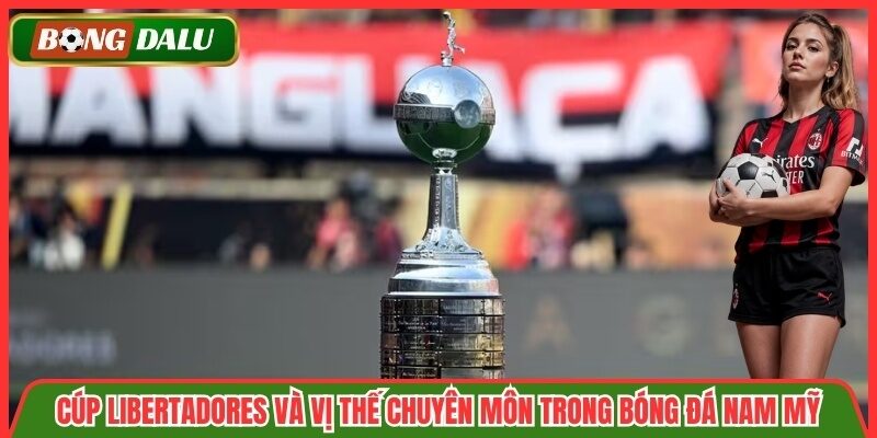 Cúp Libertadores và vị thế chuyên môn trong bóng đá Nam Mỹ