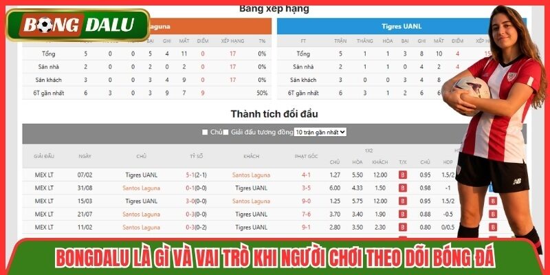 Bongdalu là gì và vai trò khi người chơi theo dõi bóng đá