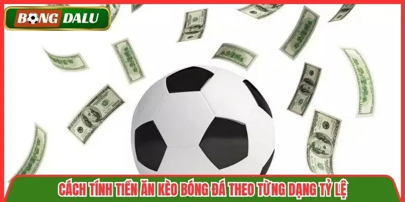 Cách Tính Tiền Ăn Kèo Bóng Đá
