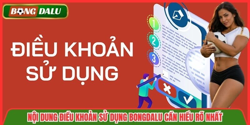 Nội dung điều khoản sử dụng Bongdalu cần hiểu rõ nhất