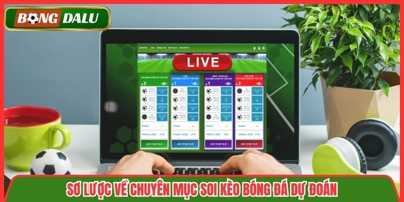Sơ lược về chuyên mục soi kèo bóng đá dự đoán