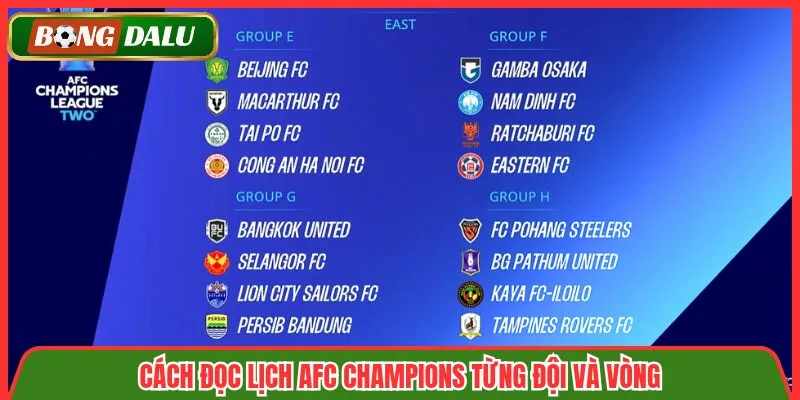 Cách đọc lịch AFC Champions từng đội và vòng