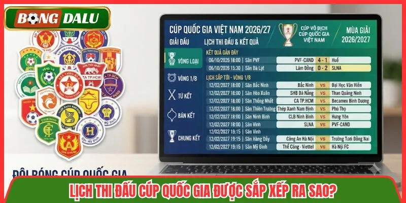 Lịch thi đấu cúp quốc gia được sắp xếp ra sao?