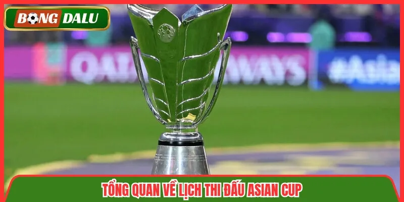 Tổng quan về lịch thi đấu Asian Cup