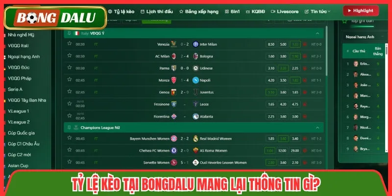 Tỷ lệ kèo tại Bongdalu mang lại thông tin gì?